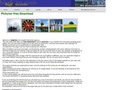 http://www.bigfoto.com/